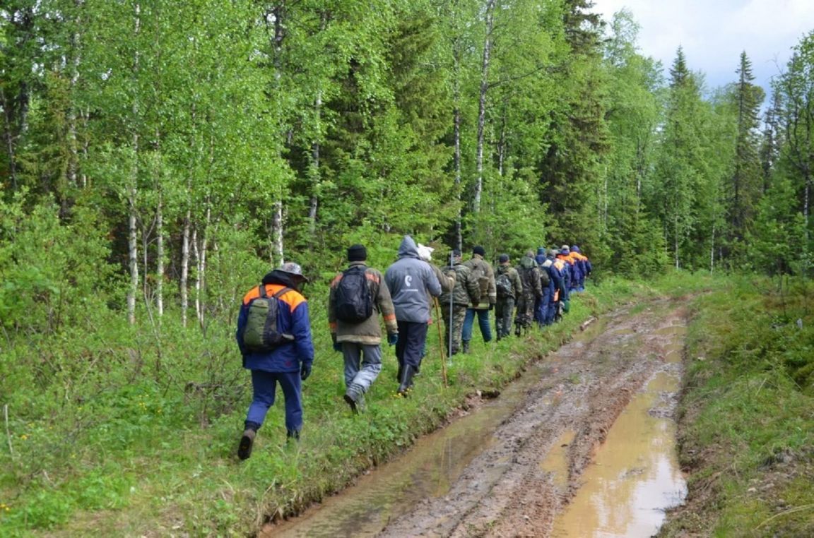 Число потерявшихся в лесах грибников и ягодников выросло на треть - « Уральский рабочий»